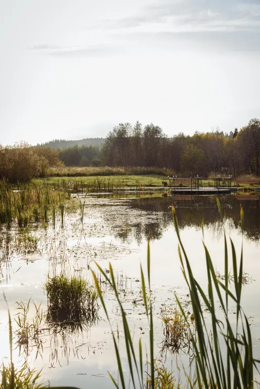 Дом на берегу озера