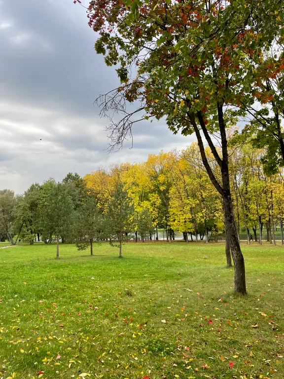 Просторная квартира в историческом центре города