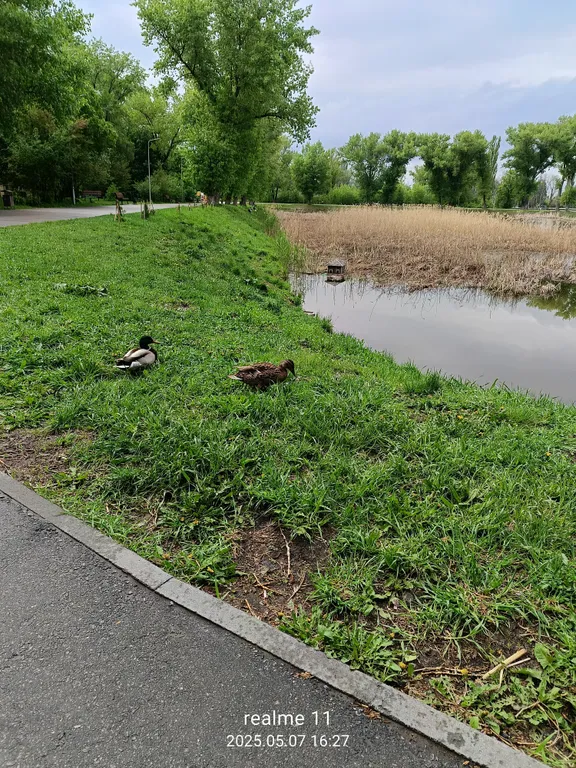 Евродвушка в спальном районе города