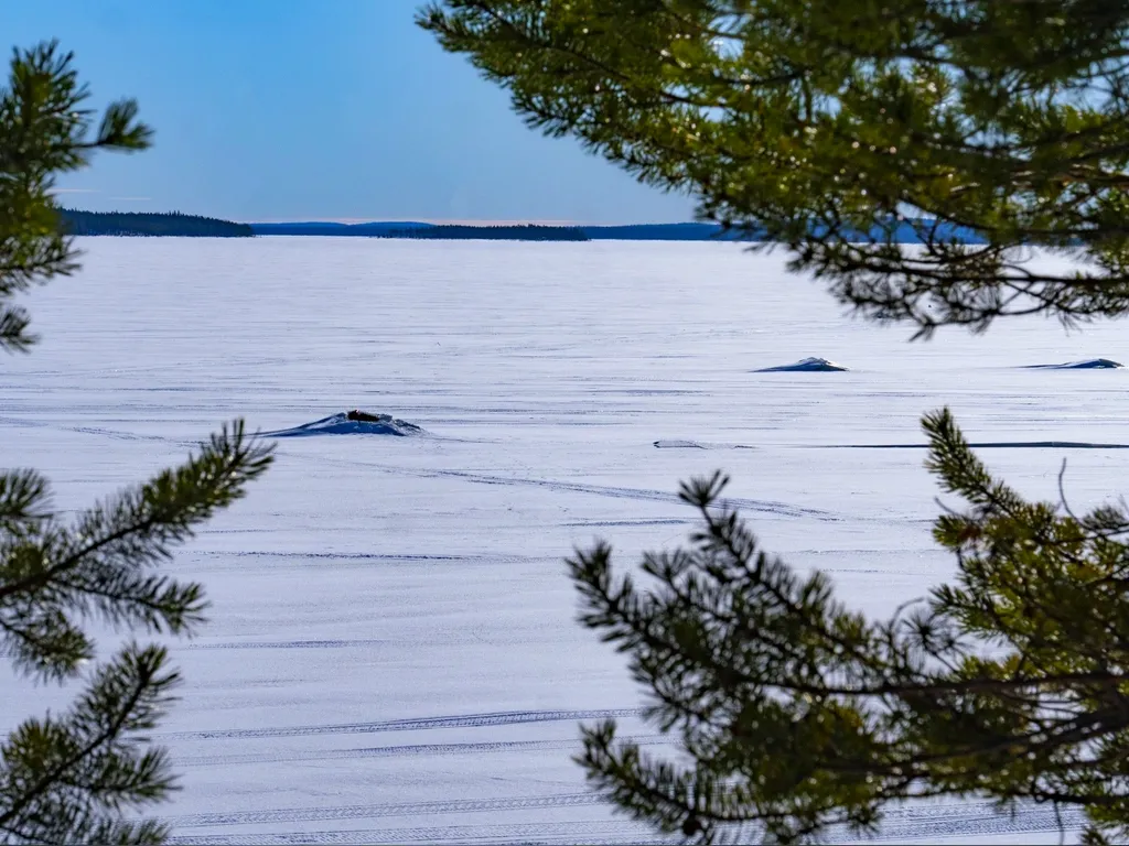 Коттедж 3-комнатный Дом — Калевала