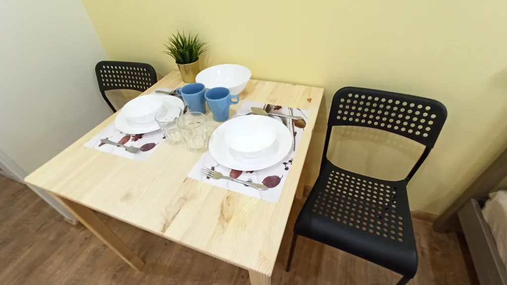 Двухместная студия рядом с метро «Площадь Маркса»