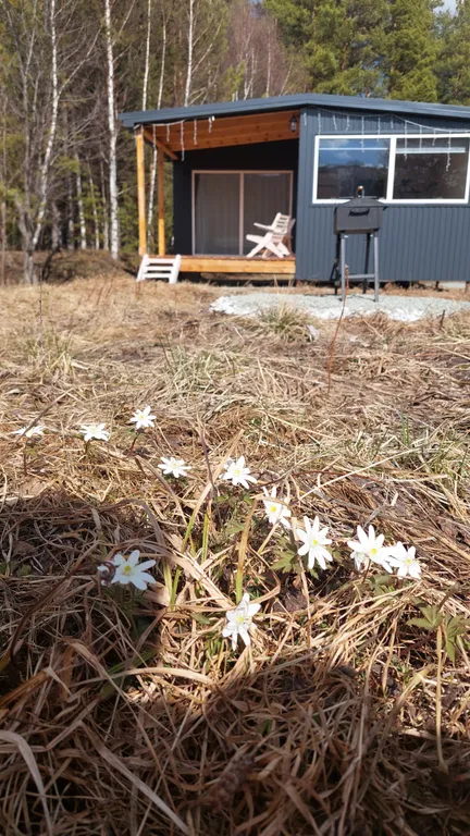 Уютный тихий домик