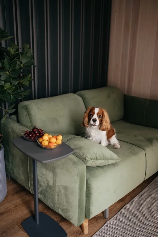 Коттедж Мини- отель “Art House Gesh” — Шерегеш