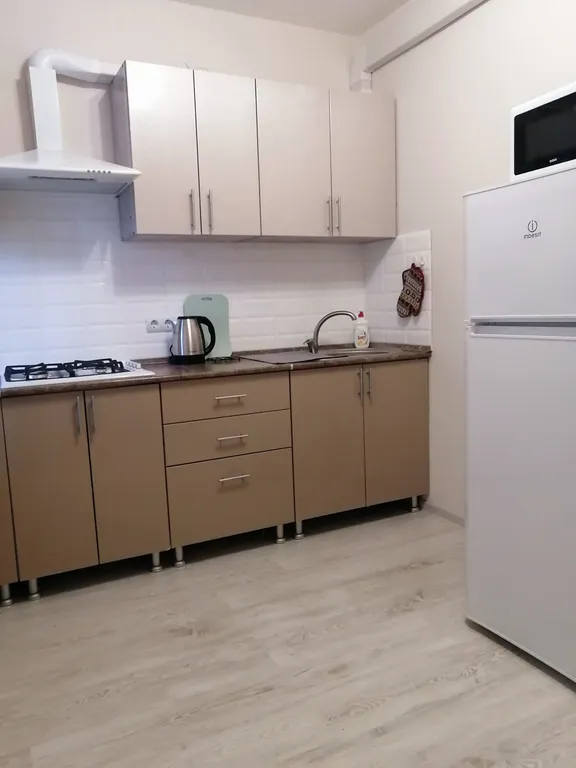 Уютные апартаменты на Толстого 2