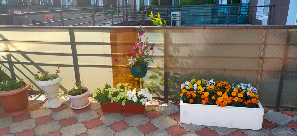 Квартира с террасой в Петергофе