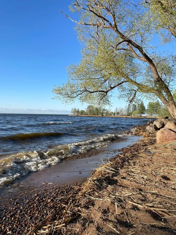 Таунхаус у маяка