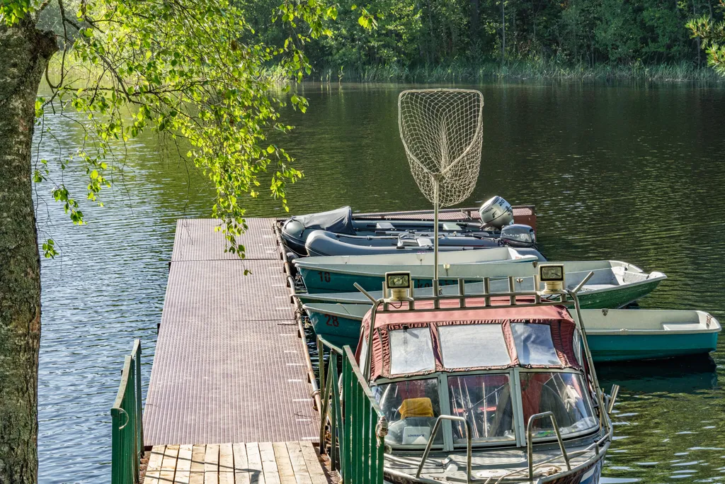 Домик с видом на лес