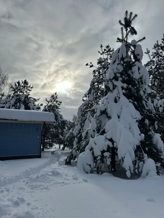 Дом # 2 «Синий»