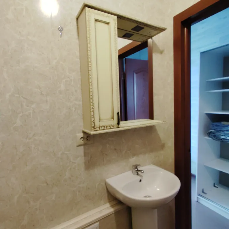 Студия в квартире с персональным санузлом и кухонным блоком