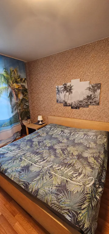 Уютная квартира с кухней студией