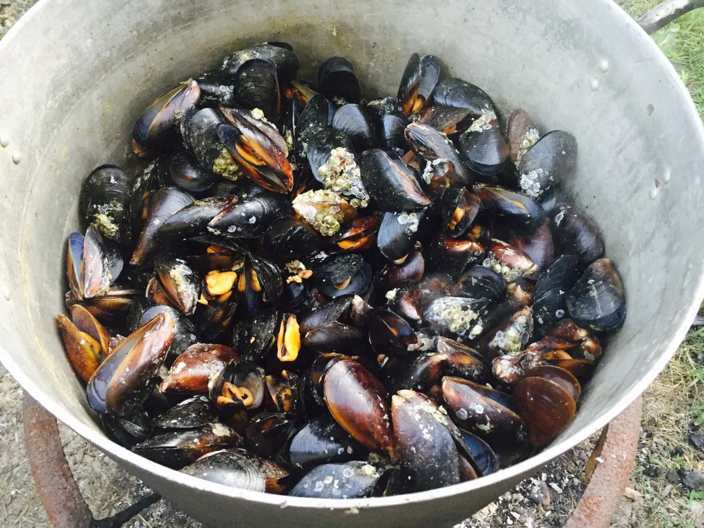 Домик 2-комнатный 5-местный