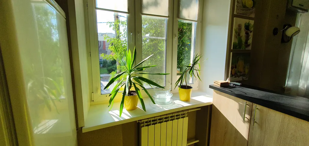 Уютная квартира-студия в центре города