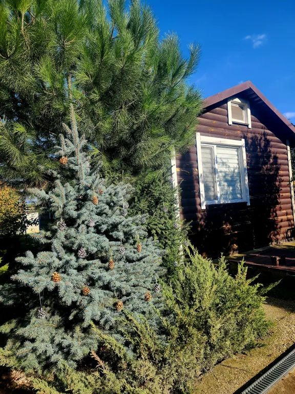 Коттедж Уютный экологический деревянный дом — Севастополь