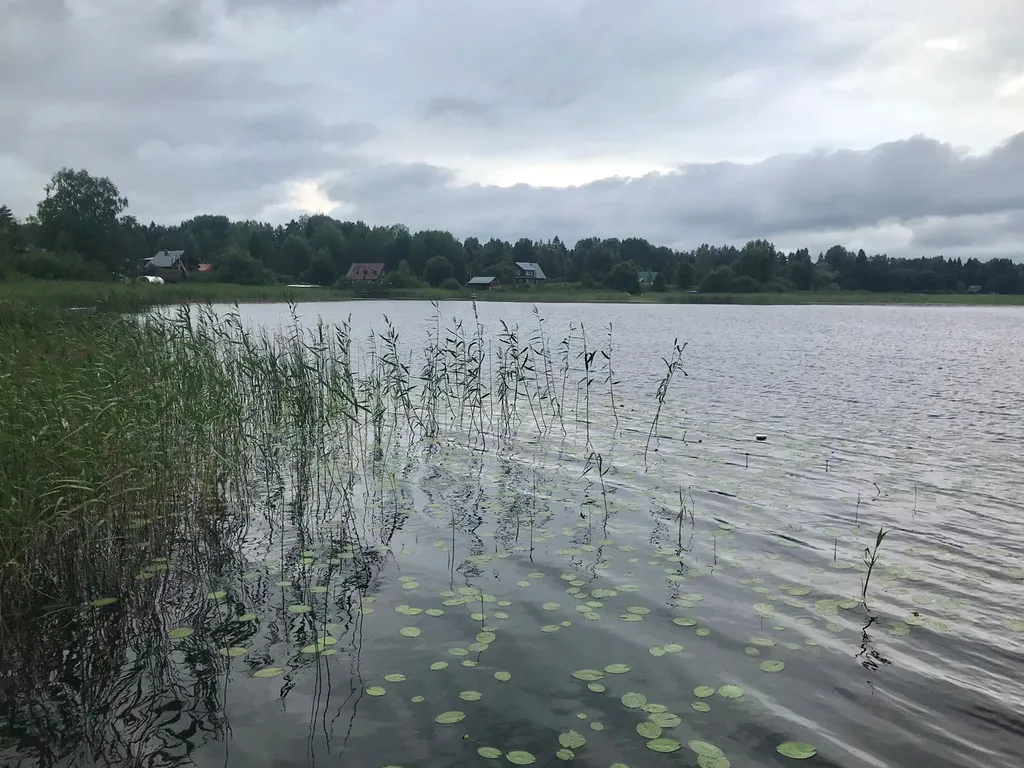 Дом на берегу озера Селигер
