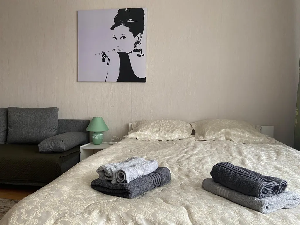 Прекрасная 1-к квартира на Степном — аренда посуточно в Старый Оскол