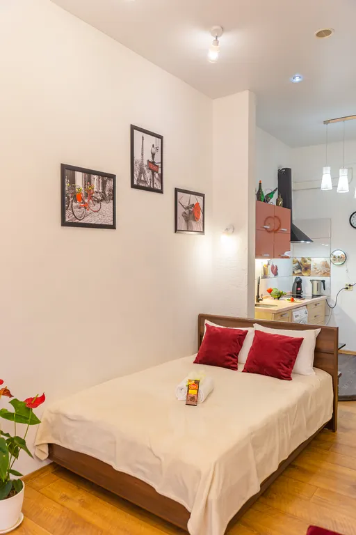 Студия с шикарным видом на Спасский собор 6 этаж