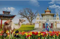 Виктория Мукабенова