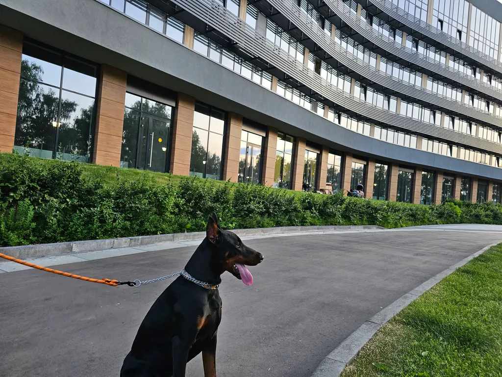 Квартира Квартира Высокий берег недалеко от Канатной Дороги — Нижний Новгород