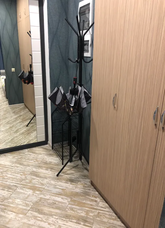 Квартира с выделенной спальней