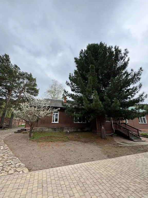 Идеальный отдых на берегу Енисея