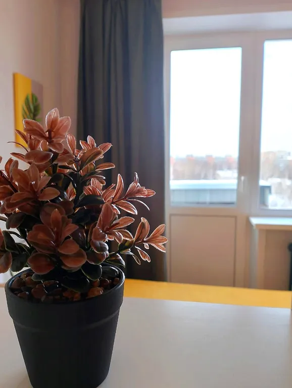 Однокомнатная квартира Птичка напротив 11 больницы