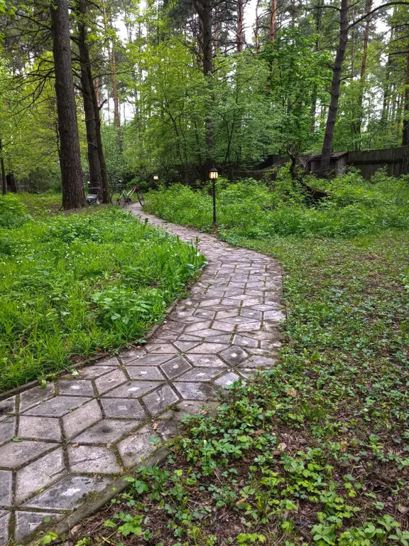 Уютный коттедж в сосновом лесу рядом с Москвой