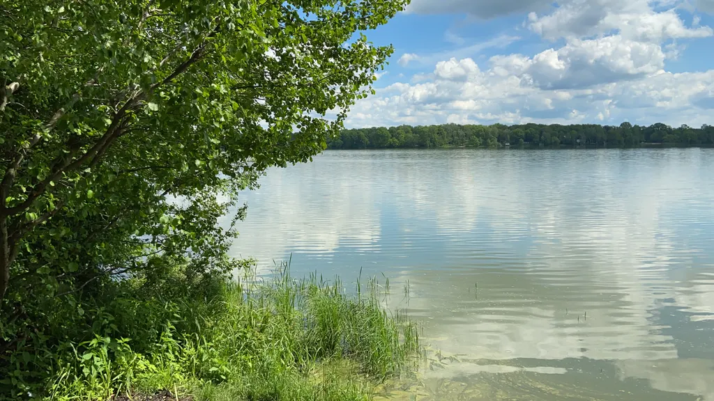 Чистая квартира в ЖК Новое Бисерово-2