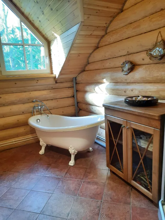 Лесная сказка