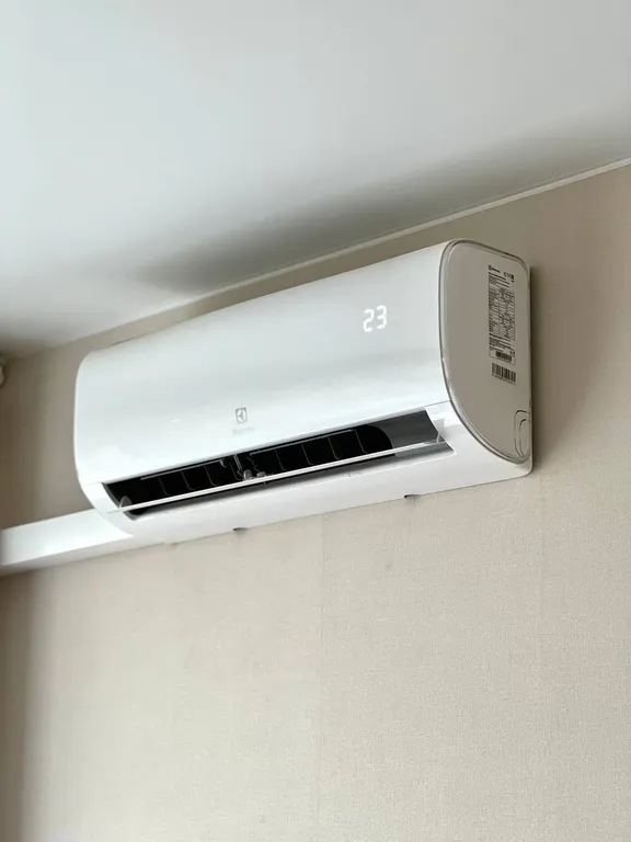 Просторная студия Африка