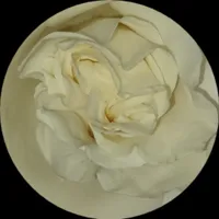 Юлия Ивушкина