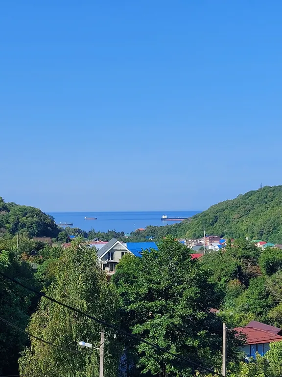 Уютный дом с камином на опушке леса