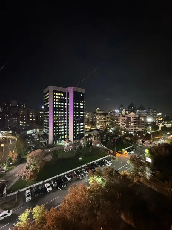 Уютная двухкомнатная квартира напротив ТРЦ Достык Плаза