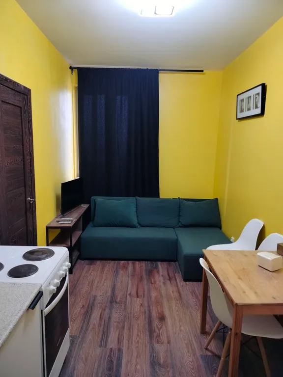 1-комнатная Квартира — аренда посуточно в Мурино