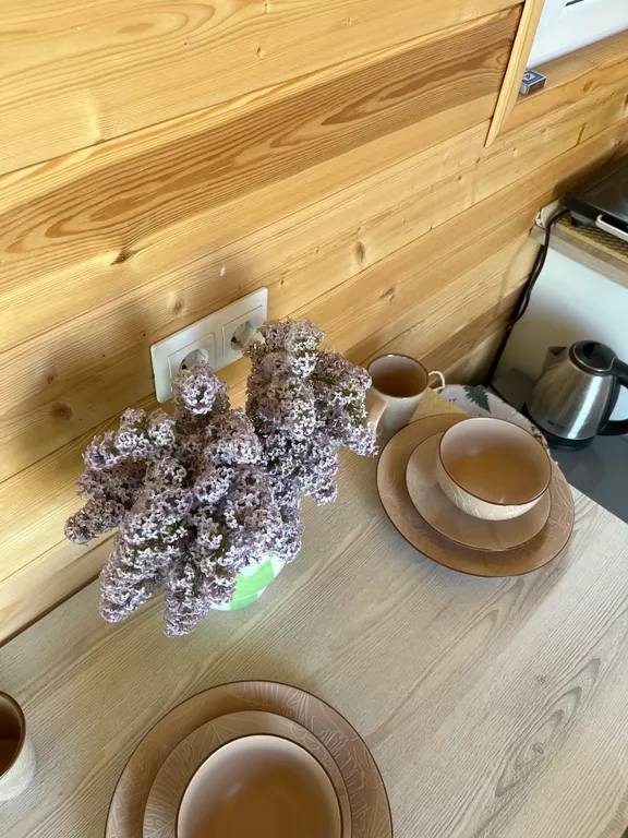 Уютный дом в лесу