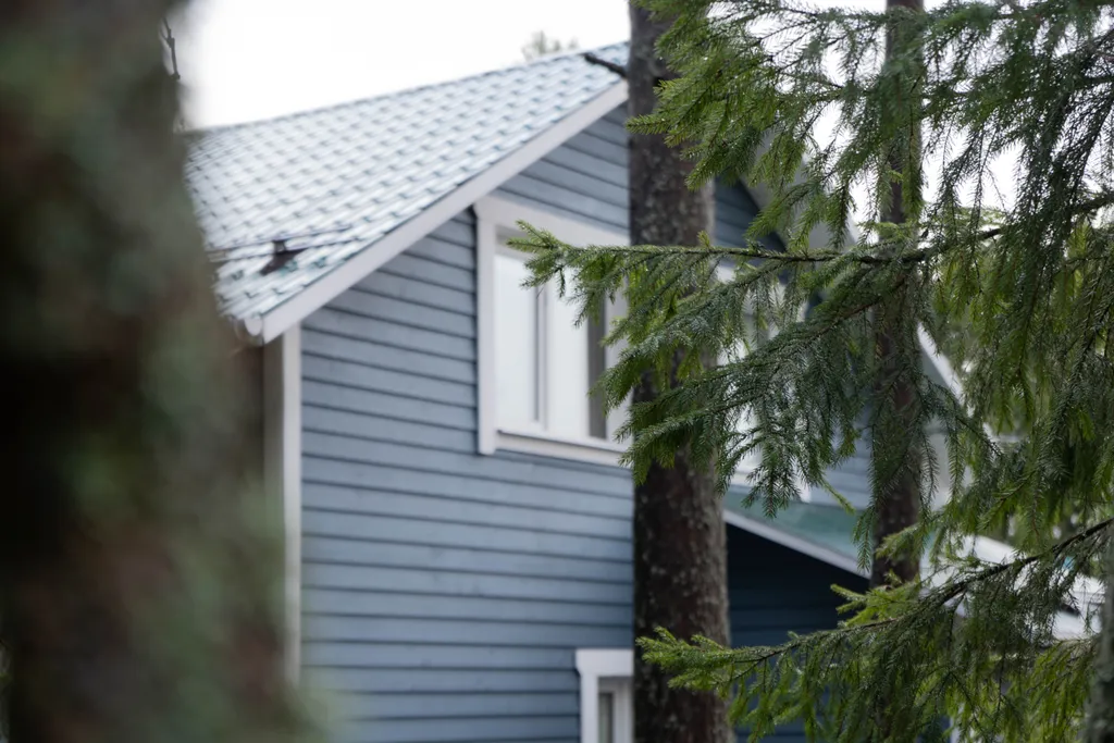 Коттедж Большой дом с баней и купелью — Иваново (Ленинградская область)