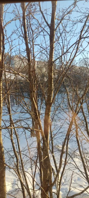 Квартира недалеко от жд вокзала