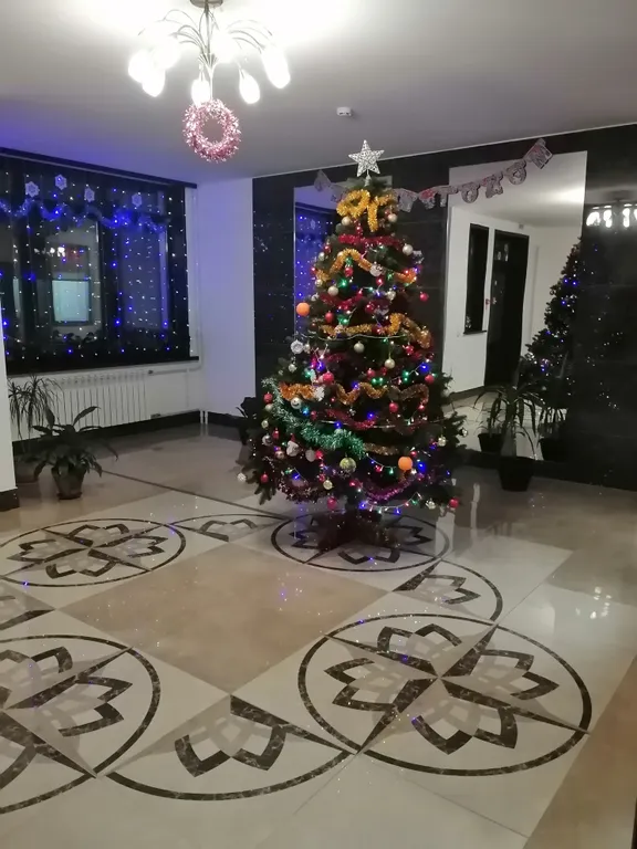 Комфортная студия