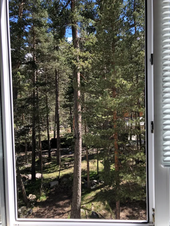 Уютная светлая квартира в лесу среди гор