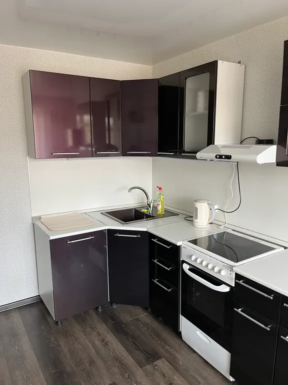 Двухкомнатная просторная квартира