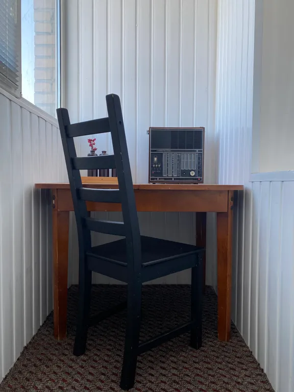 Просторная квартира с видом на город и парк