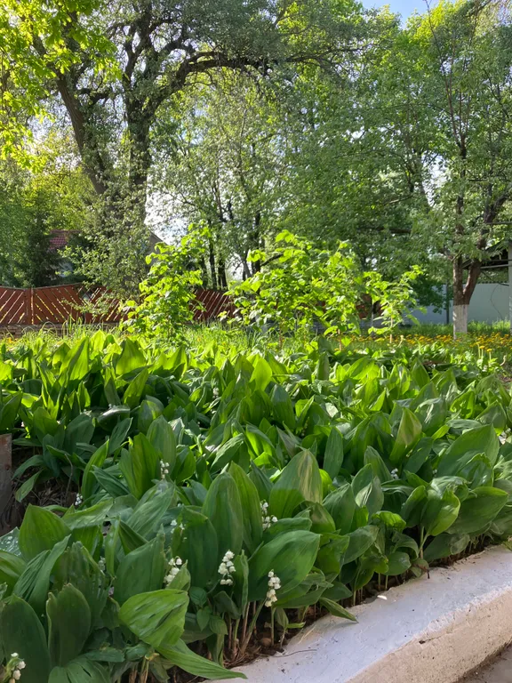 Трёхэтажный коттедж с сауной и бассейном в тихом заливе волги