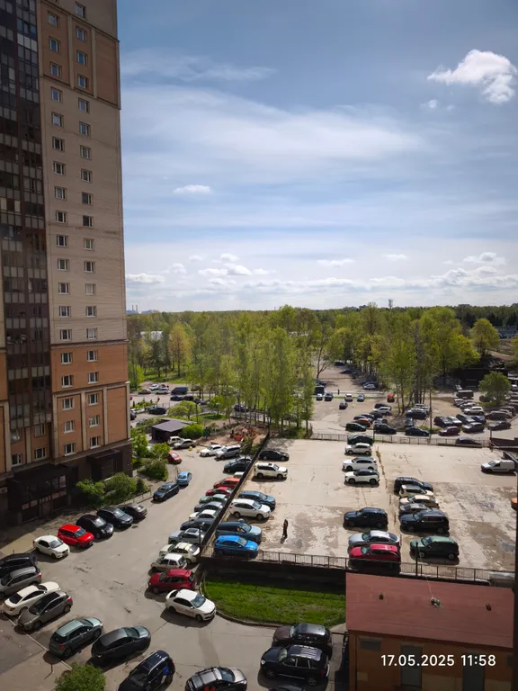 Квартира рядом с парком Сосновка