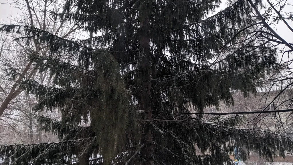 Квартира Уютная квартира в Академгородке — Новосибирск