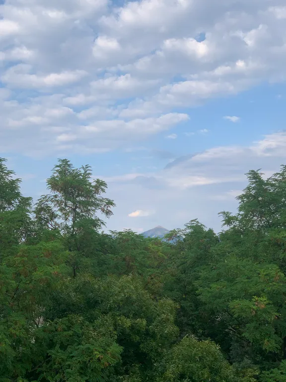 Квартира в курортной зоне «Здорово на водах»