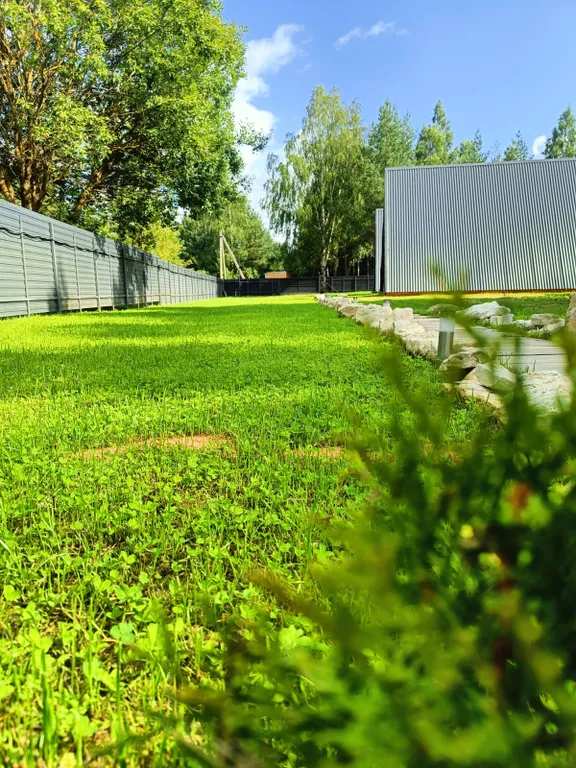 Дом Шепот леса