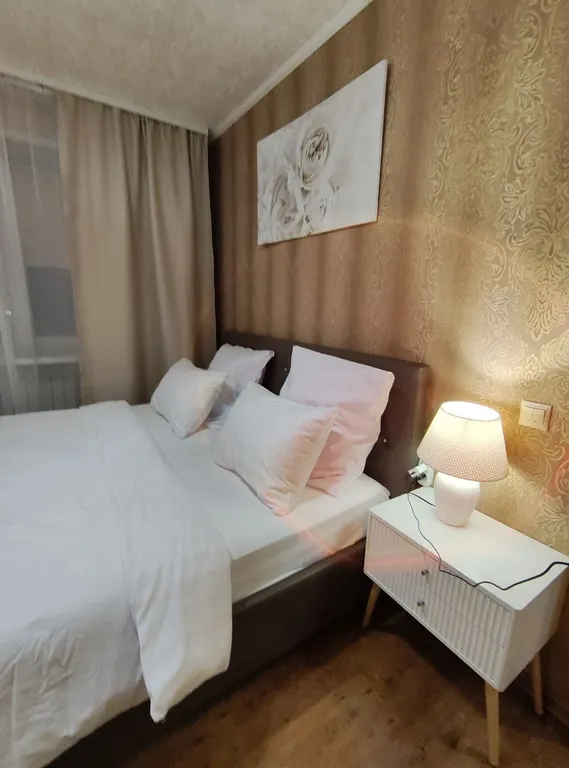 3-комнатная квартира в центре с видом на реку