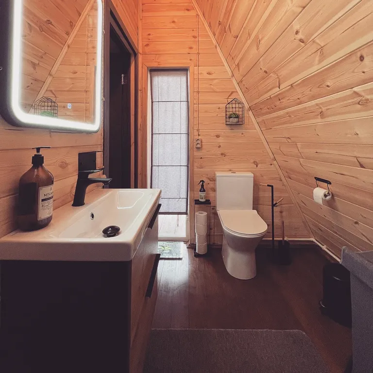 Дом-шале в окружении сосен + зона барбекю с костровой чашей и мангалом