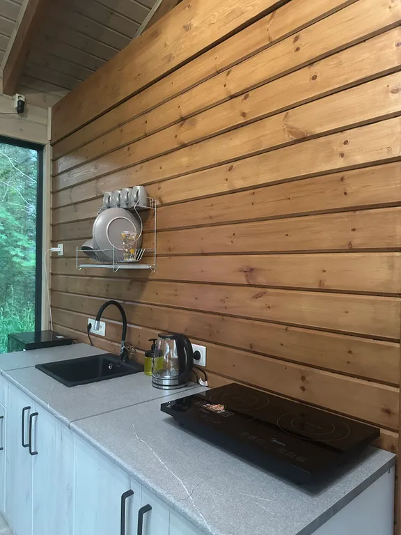 Дом с чаном и панорамными окнами с видом на лес