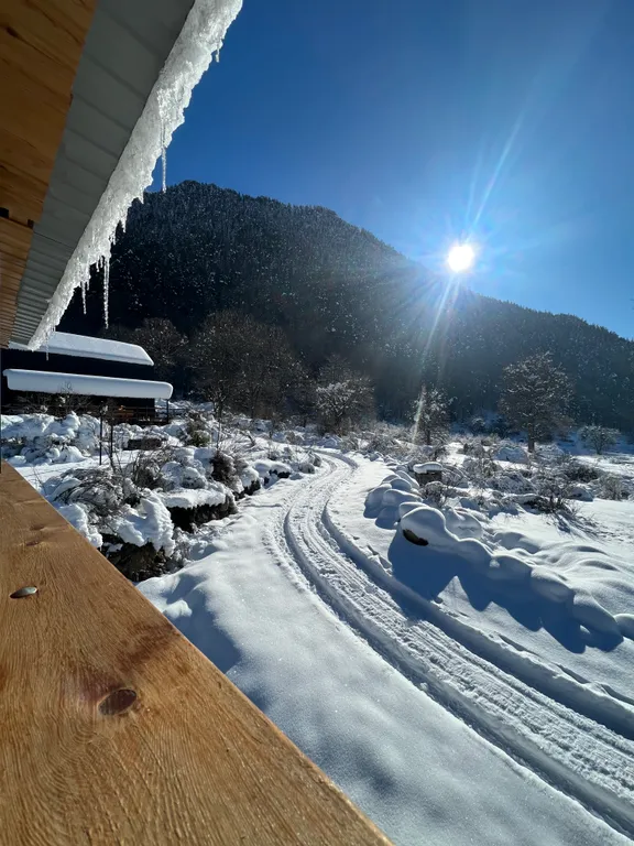 Дом в лесу с видом на горы