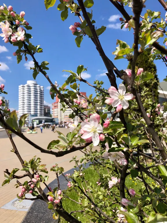 Квартира-люкс в центре у метро филармонии ЦУМа рынка